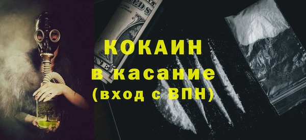 PSILOCYBIN Алзамай