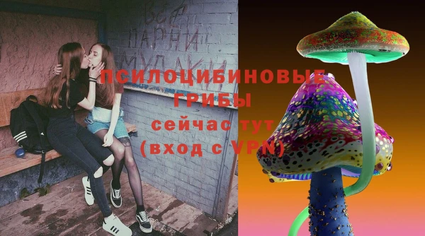 PSILOCYBIN Алзамай