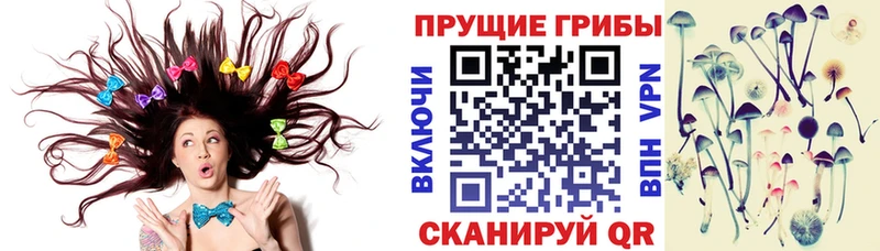 Псилоцибиновые грибы Psilocybine cubensis  Сокол 