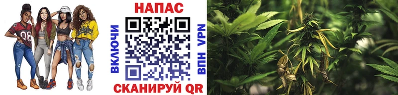 МАРИХУАНА MAZAR хочу hydra маркетплейс Сокол